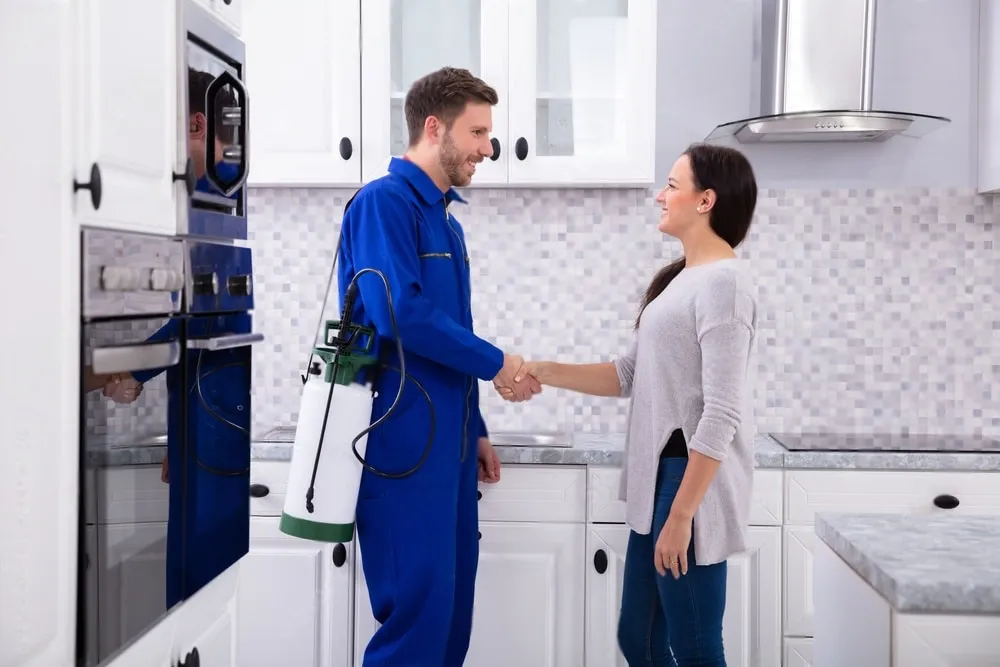 Pest Control Experts - Ladera Ranch Best Pest Pros | Ladera Ranch, CA | 949-776-8717